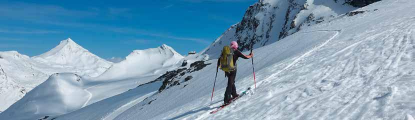 Skitouren Randonnée à ski Flächendeckende Beschreibung und eine auf die swisstopo-skitourenkarten abgestimmte Routennummerierung.