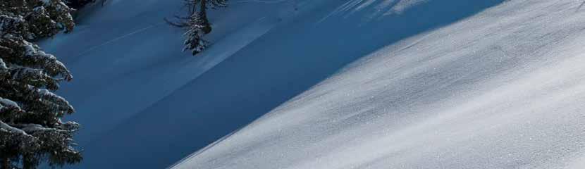 Schneeschuhtouren Randonnée en raquettes Die SAC-Schneeschuhtourenführer beschreiben lohnende Gipfelziele und Überschreitungen abseits von ausgeschilderten Winterwanderwegen und gängigen Skitouren.