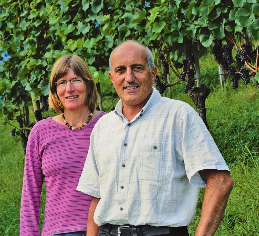 Zur Person Markus Hardegger Ing. Agr. FH ist seit 1989 Leiter der Fachstelle Weinbau in St.Gallen.