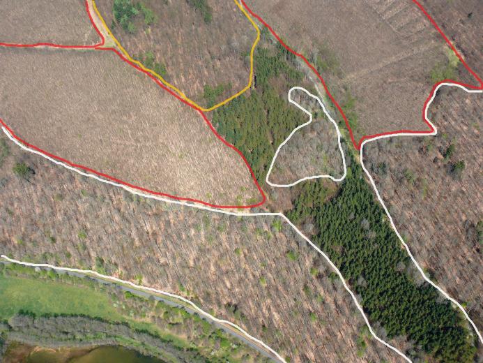 Abteilungen Teufels, Kohlstock und Langrain Foto 2012 Auf den weiß umrandeten Flächen stehen Eichenwälder im Alter von knapp 200 Jahren.