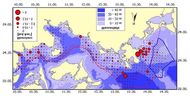 76 Beschreibung und Einschätzung des Umweltzustands Sterntaucher rasten in der Ostsee vorrangig in Gewässern mit einer Wassertiefe von weniger als 20 m (DURINCK et al., 1994).