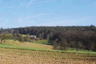 Landschaftsbild Verstreute Gehölzinseln finden sich südlich der Untersuchungsfläche, daneben auch eine langgezogene Baumreihe längs eines Wirtschaftsweges (Verlauf Nord-