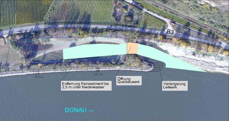 Biotop Frauengärten unterstromig angebundener Nebenarm der Donau Länge 200 m wellenschlagsgeschützte, wenig