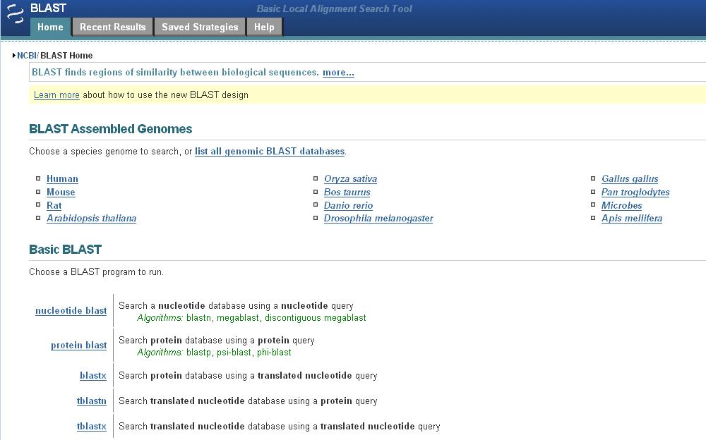 BLAST-Webseite am NCBI BLAST besteht in Wirklichkeit aus vielen einzelnen speziellen Werkzeugen. Diese können auf der Übersichtsseite ausgewählt werden.