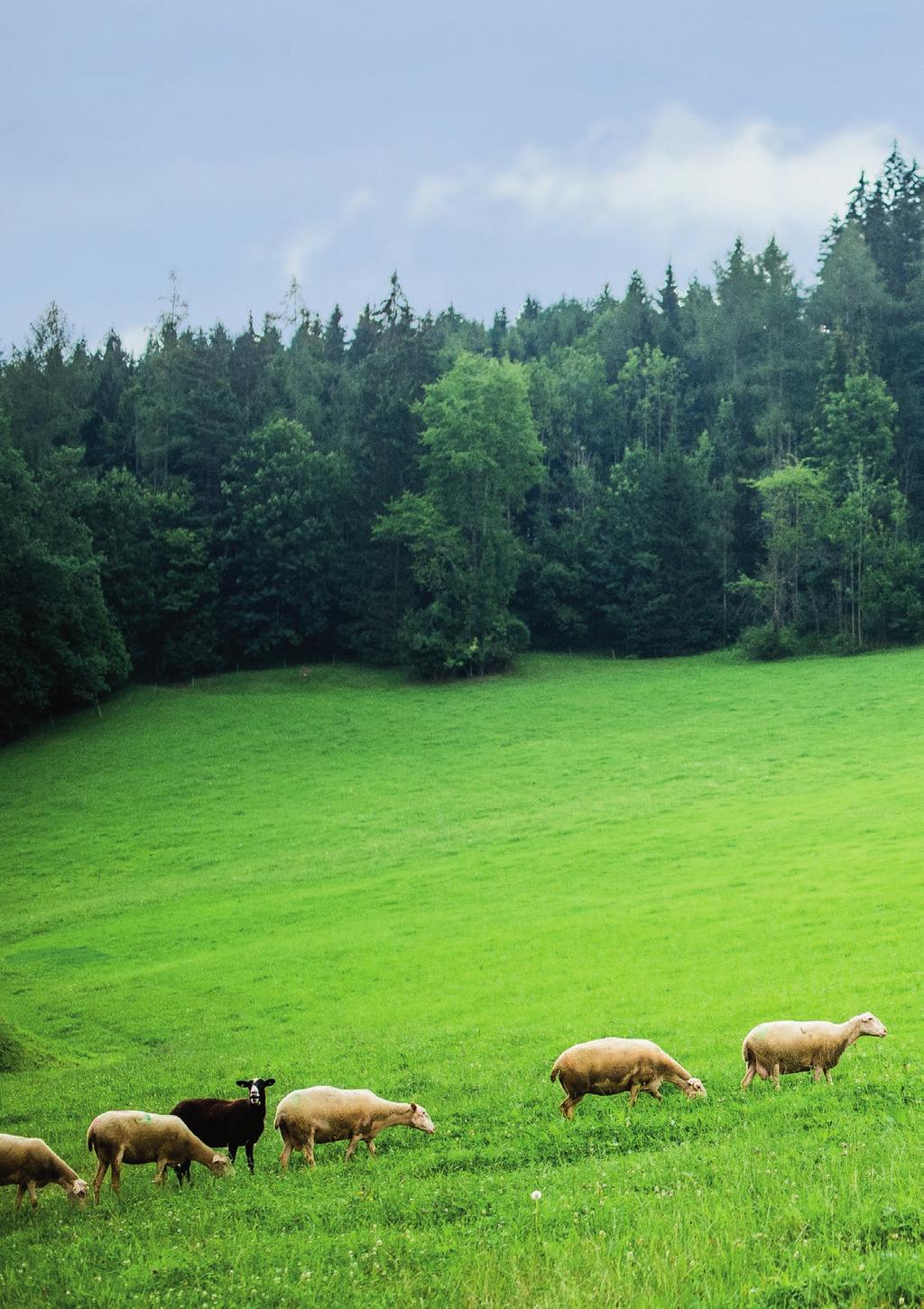 Ja! Natürlich