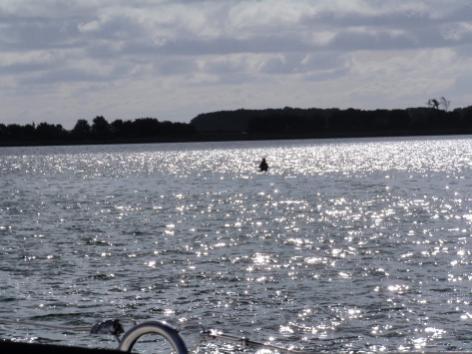 Wieder einmal bieten die Angler, bis zum Popo im Wasser, direkt neben der Fahrrinne ein lustiges Bild.