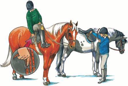 Reitlehre und Reitenlernen Alles über das Auf- und Absitzen die richtige Bügellänge Bevor du ein Pferd reiten willst, musst du erst einmal hinaufkommen. Das ist manchmal leichter gesagt als getan.