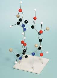 006 Molekülbaukasten groß Empfohlen für Sek. II Unentbehrlich für jeden Referenten. Die Vielzahl der Teile ermöglicht auch den Bau großer Moleküle.