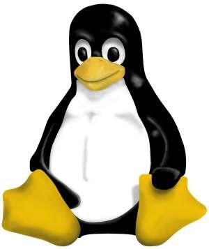 Linux Etabliertes Standardsystem für sehr viele Plattformen (PC Desktop / Server, Embedded etc.