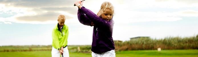 3.2.1 Das Golfspiel trainieren Golf gilt in der Sportwissenschaft als eine der attraktivsten Sportarten, da der Bewegungsablauf des Golfschwungs sehr komplex ist und fast alle Muskeln an der Bewegung