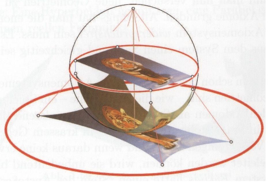 Die hyperbolische Kreisscheibe Modell einer Geometrie mit unendlich vielen Parallelen durch