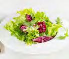 Salate gerüstet (Einzelkomponenten) Frischprodukte Tagessalat Nr. 2 Art.-Nr. 01.