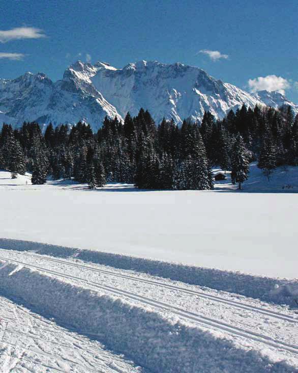 Skilanglauf Spass in der Spur Weitläufige Flächen, Wiesen, Wald und Schnee sind die Zutaten, Sonne und