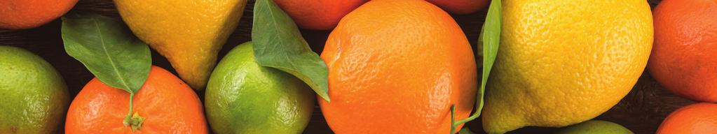 ZITRUSFRÜCHTE Verpackungshinweise Folgende Hinweise findet man häufig auf Verpackung und Etiketten von Orangen, Mandarinen, Clementinen, Limetten und Grapefruits: mit Konservierungsstoff Schale