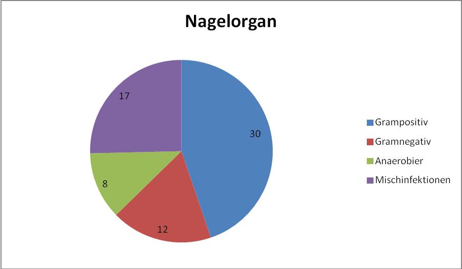 Abbildung 15: Keimverteilung bei Infektionen im Nagelorgan 3.4.3 Infektionen mit Beteiligung von Sehnen oder Sehnenscheiden Diese Gruppe umfasste 17 Fälle.