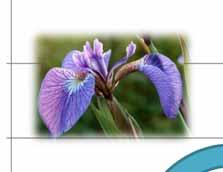 Prädiktive Aufgabe: Erkenne Klasse neuer Blumenpunkt 3 (4) Modelling Phase petal width (in cm) 2.5 2 1.5? Iris-setosa Iris-virginica 1 (N = 100 samples) 0.