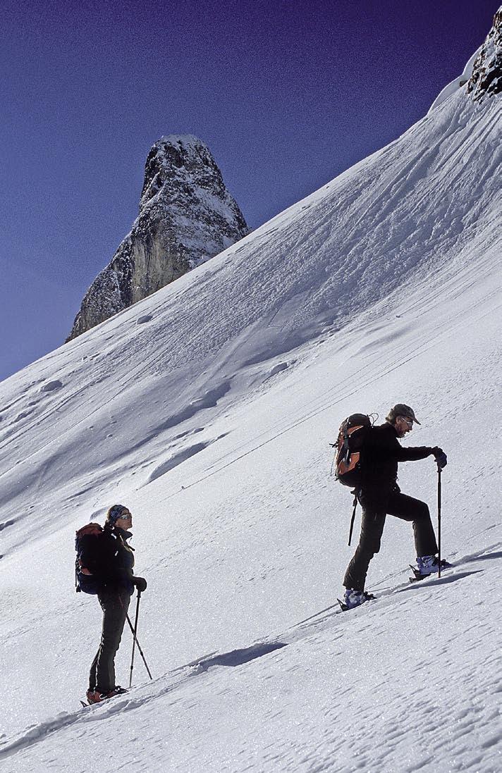 Vorwort Vorwort Die Allgäuer Alpen ein Skitourengebiet für den ganzen Winter Dieser Führer beschreibt eine große Auswahl an Skitouren im Oberallgäu und im benachbarten Kleinwalser- und Tannheimer Tal.