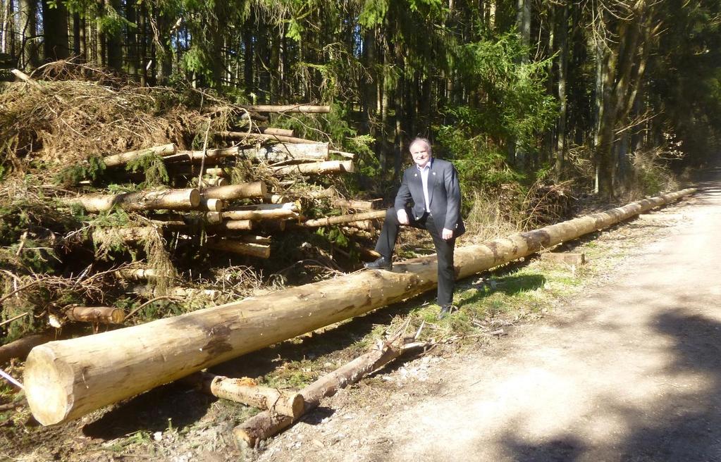 Der im Gemeindewald gestohlene Maibaum wurde zurückgebracht und am Steinbruchweg unbeschädigt wieder abgelegt Nachdem der Baum am Steinbruchweg wieder gesichtet wurde, machte sich Bürgermeister
