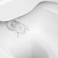 Mit dem Dusch-WC CLEANET RIVA kommt ein reines Schweizer Produkt auf den
