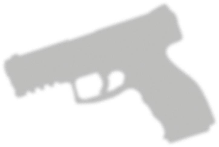 international als Striker Action bezeichnet aufwartet. Wir konnten die Heckler & Koch Striker Fire Pistol SFP 9, die in USA als VP9 vermarktet wird, bereits ausführlich testen.