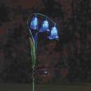 90 7 Silhouette-Leuchte Frosch ie solarbetriebene LE leuchtet durch den verschnörkelten Bauch