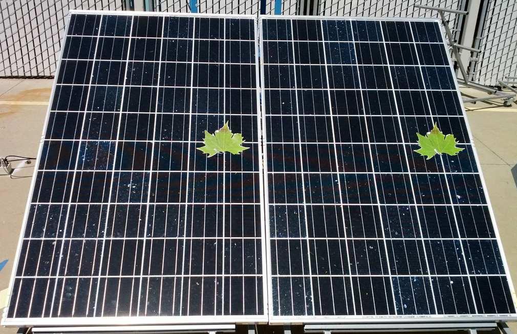 Mehr Energieertrag bei weniger Betriebsund Wartungskosten 15 % mehr Leistung Keine Hot Spots Solarzellenoptimierer konventionell Modul-Test mit Verschattung durch Laub Ausgangsleistung als Funktion