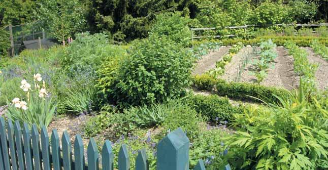 7. Fazit Zusammenfassend die wichtigsten Bausteine zur Erhaltung der Pflanzengesundheit im Freizeitgarten: ó Bedürfnisse der Pflanzen an den Standort berücksichtigen.
