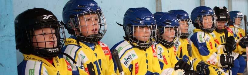 ch Homepage: www.ehc-laufen.ch/hockeyschule Was muss mein Kind können, damit es in die Hockeyschule kommen kann? Es müssen noch keine Grundkenntnisse im Schlittschuhfahren vorhanden sein!