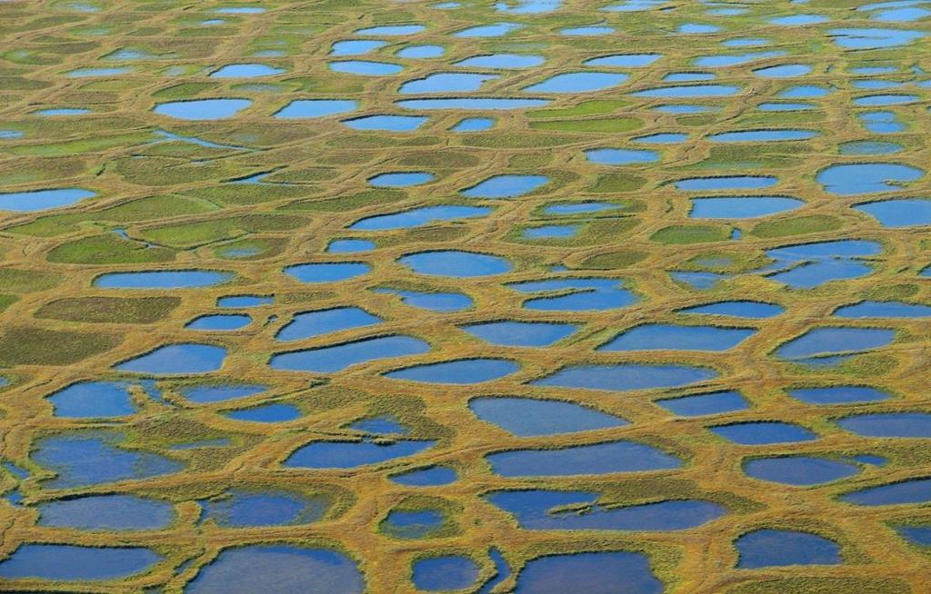 Ein gutes Beispiel dafür ist die Insel Moustakh. Auf Grund des Permafrost- Schmelzens verringert sich der Radius der Insel jedes Jahr um 10-15m. Wie man rechts auf Abb.