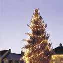 november begrüßt weimar den Urenkel des ersten öffentlichen weihnachtsbaumes in deutschland, der hier um das Jahr 1815 vom weimarer hofbuchhändler hoffmann erstmals aufgestellt wurde.