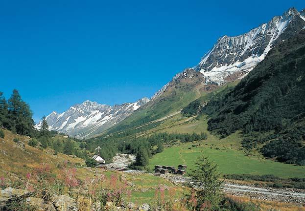 Die Kühmaad im Lötschental ist ein typisches Beispiel für die Obere Alpenstufe mit Legföhren, Fichten und freistehenden Lärchen.