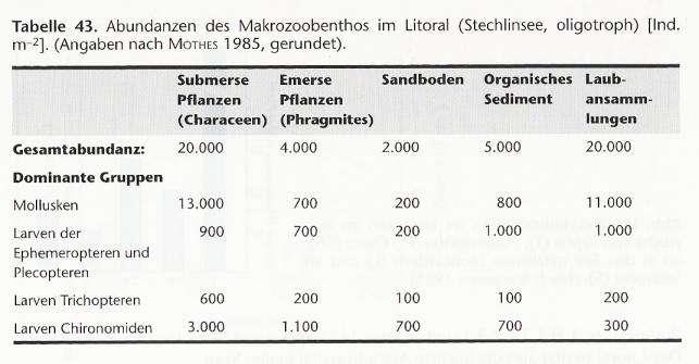 Benthic macroinvertebrates Frequency of occurrence (abundances) aus: Schönborn, Lehrbuch