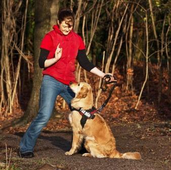 3. Persönliches Hundeerziehungs-Coaching: Sie gehören zu den Hundebesitzern die gerne von Deutschlands bekannter Hundetrainerin Lena Mai, für 1 oder 2 Tage, ein persönliches Einzel- oder