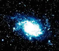 Spiralgalaxie M33 im