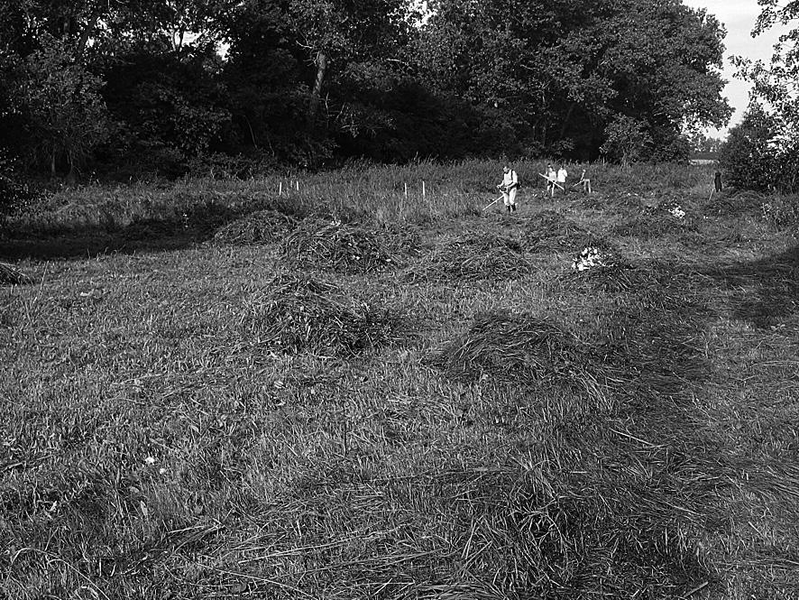 Hercynia N. F. 41 (2008): 253 262 257 Abb. 3 Mahd der Spenderfläche am 14.08.2007 (Foto: S. Thiede) Fig. 3 Mowing of the donor site at the 14.08.2007 (Foto: S. Thiede) am 22.08.2007 teilweise anstehendes Wasser auf.