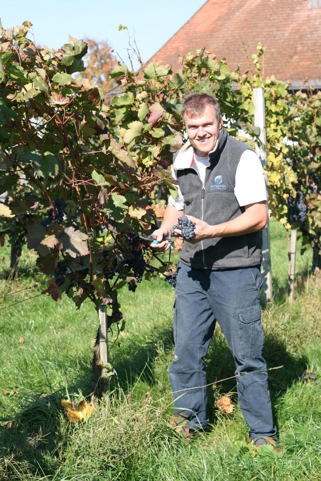 Höchste Qualität im Weinbau ist Ziel von Weinbauer Ing.