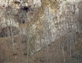 Höhle von 20 bis 30 m Durchmesser und 9 bis 10 m Höhe im Massenkalk im Niveau der Unteren Felsenkalke (Weißjura