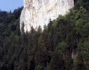 Unteren Felsenkalken des Weißjura Ç (Mittel-Kimmeridgium, ki2) am Prallhang der Donau 1100 m östlich Kloster Beuron.