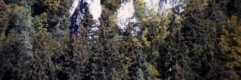 Die insgesamt etwa 40 m lange und bis zu 20 m hohe Felsgruppe besteht aus drei durch Erosion herausgearbeiteten Einzelfelsen deren Basis durch Mischwald verdeckt ist.