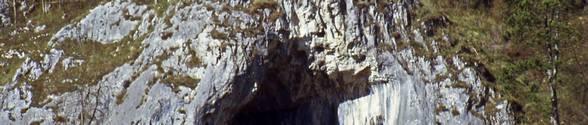 Göpfelsteinhöhle in den massigen Felsen des Weißjura É1 (Liegende Bankkalke : Kimmeridgium, ki4).