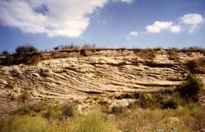 In der nahezu 180 m langen Ostwand der Grube sind ausgezeichnete, großdimensional schräggeschichtete helle Sande mit eingeschalteten, auskeilenden Kalkbänken erhalten.