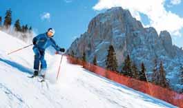 und Skating (35 km) 80 km Der Tourismus ist einer der wichtigsten Bereiche in der Südtiroler Wirtschaft.