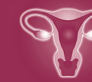Eileiter Die weiblichen Geschlechtsorgane Eierstock Die Gebärmutter Gebärmutter Von einer Endometriose am häufigsten befallen sind die Gebärmutter, Eileiter, Eierstöcke sowie das umgebende Bauchfell.