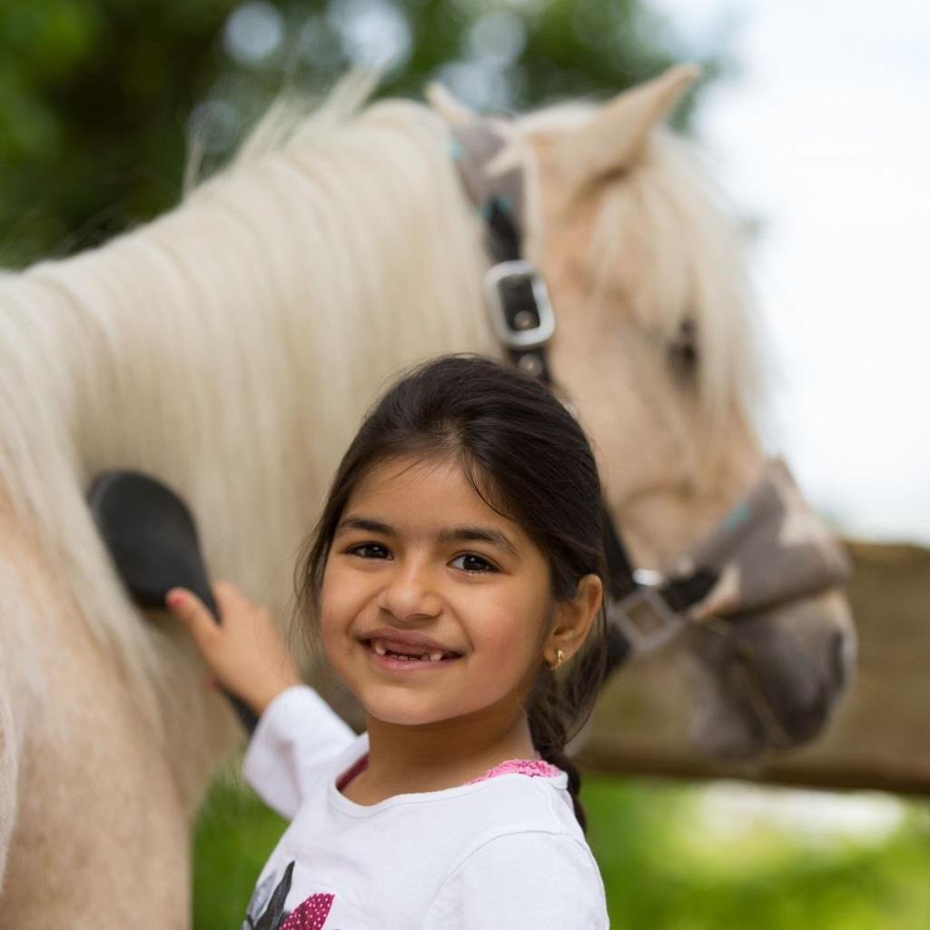 Projekt: Pferdegestützte Therapie