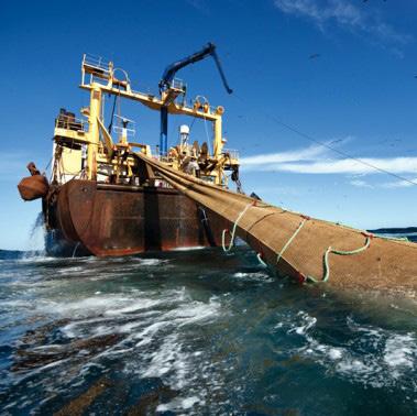 ------------------------------ X4/18X Quelle: flickr commons Grenze Überfischung Seit 1970 hat sich die Kapazität der Fischereiflotten weltweit verdoppelt.