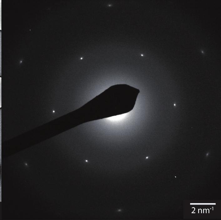 Das geringe Hintergrundsignal begünstigt Aufnahmen von Nanopartikeln oder Nanodrähten, deren Struktur mit konventionellen Carbon-Trägerfilmen nicht aufgelöst werden kann (Abb. 2) [2]. Abb.