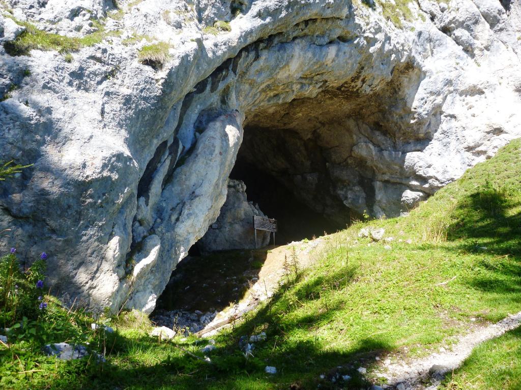 Höhle/Podocka zijavka