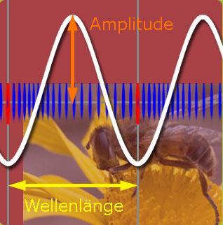 ---> Tonhöhe ---> Lautstärke Tonhöhe ---> Die Höhe eines Tones wird durch die sogenannte Frequenz ausgedrückt. Die Frequenz gibt an, wie oft ein Luftteilchen in einer Sekunde schwingt.