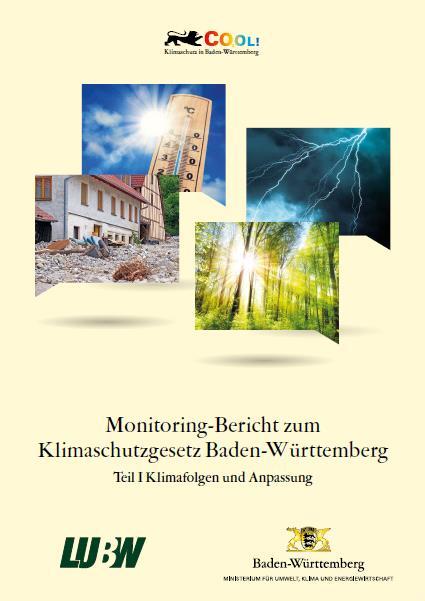 Monitoring-Bericht 2017 zur