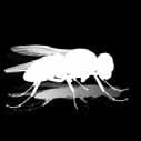 Ein besonders guter Schutz gegen das Mückenproblem ist das neue ALUKON-InsektenschutzSystem AL-IS Futura.